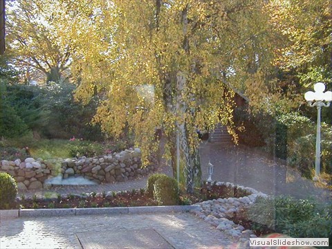 bild_7
