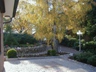 bild_6